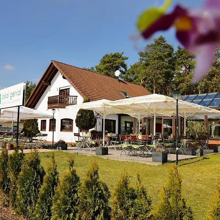 Lokal Genial Pension & Restaurant Beelitz Buitenkant foto